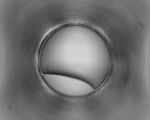 X0000112471032200908170946