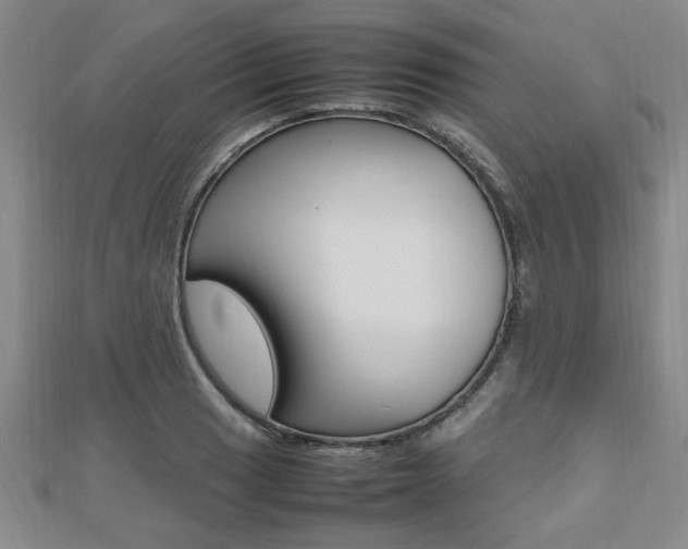 X0000112471033200908170946