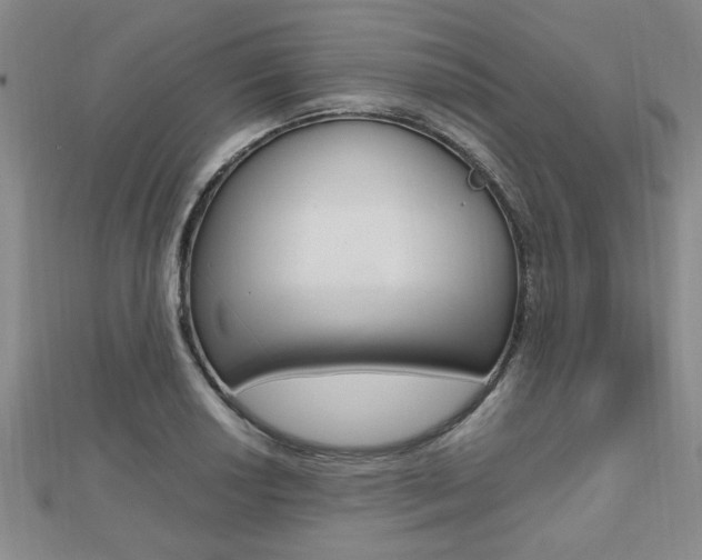 X0000112471034200908170946