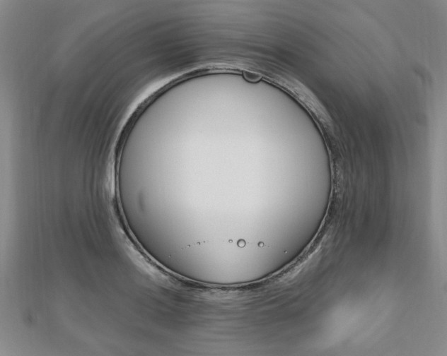 X0000112471036200908170946