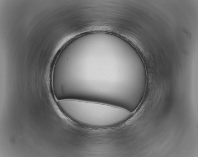 X0000112471038200908170946