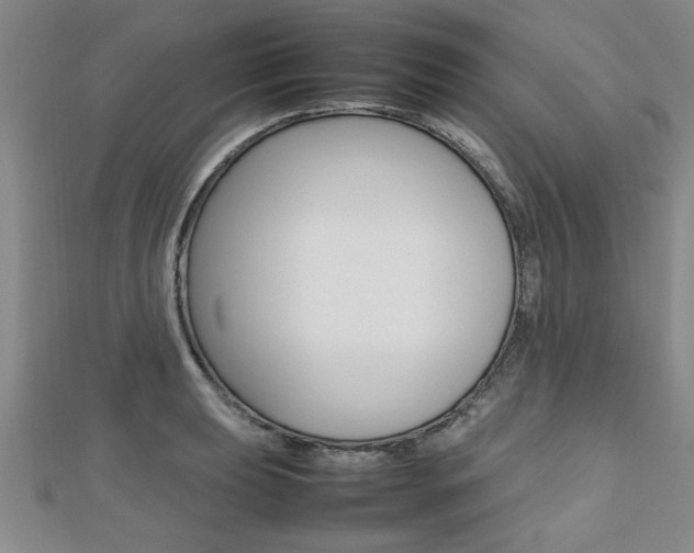 X0000112471039200908170946