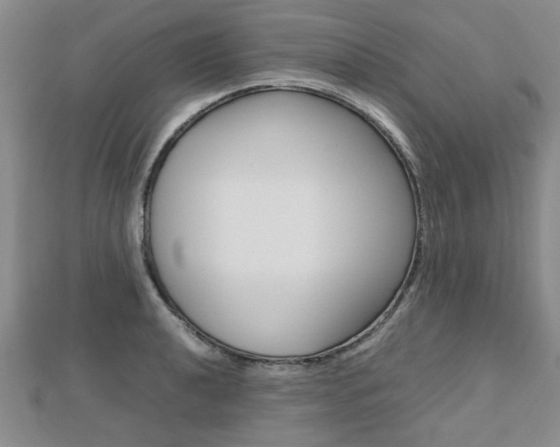 X0000112471040200908170946