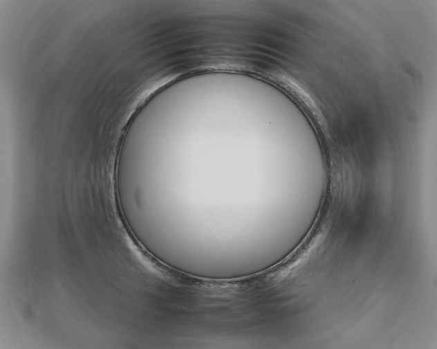 X0000112471041200908170946