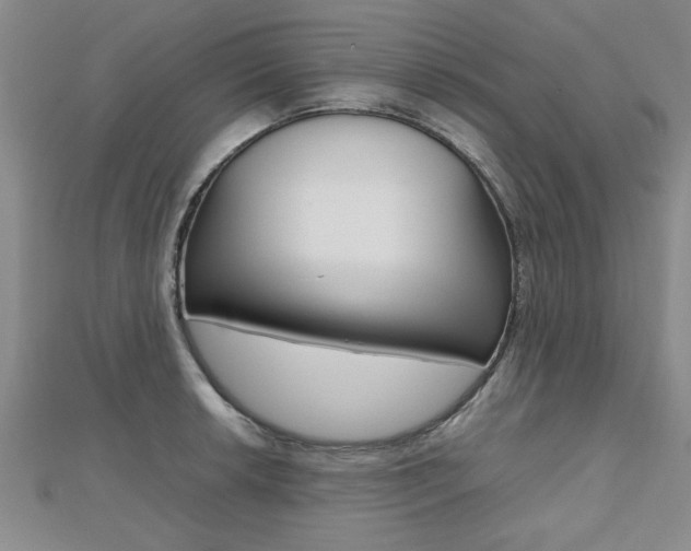 X0000112471042200908170946