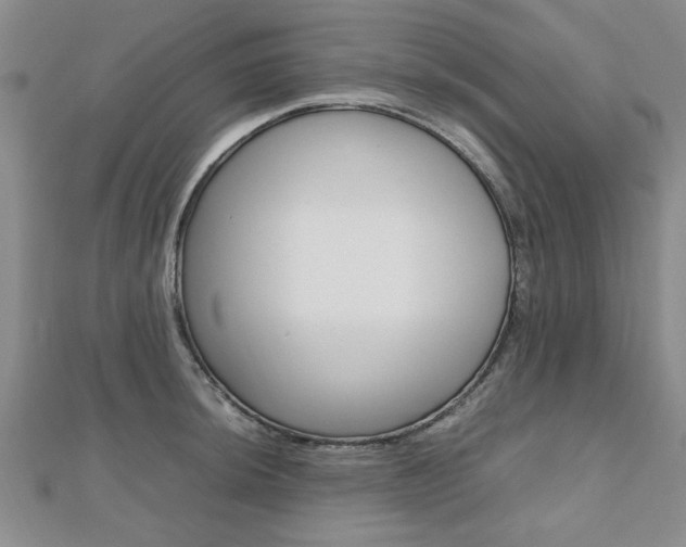 X0000112471044200908170946