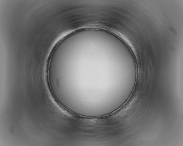 X0000112471045200908170946