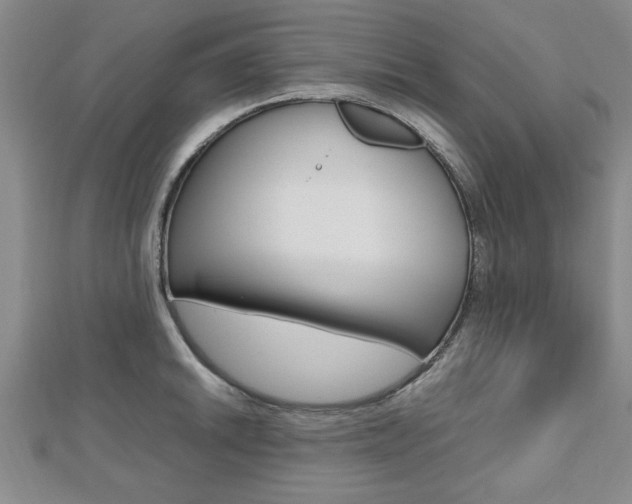X0000112471046200908170946