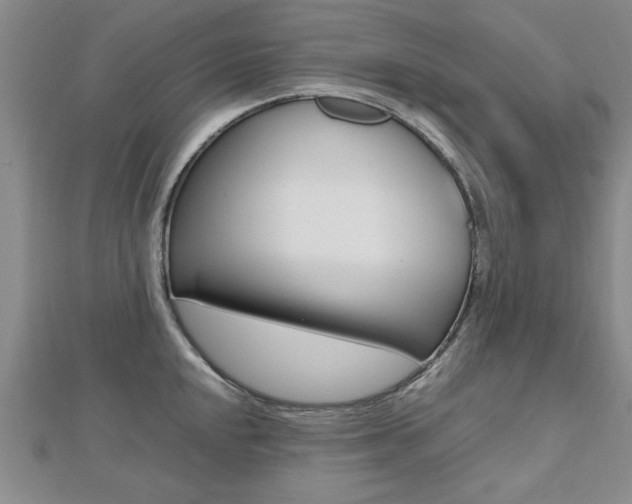 X0000112471048200908170946