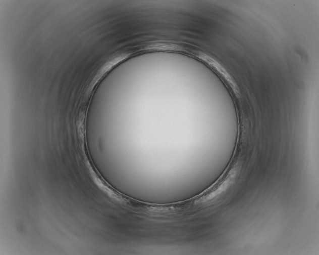X0000112471049200908170946