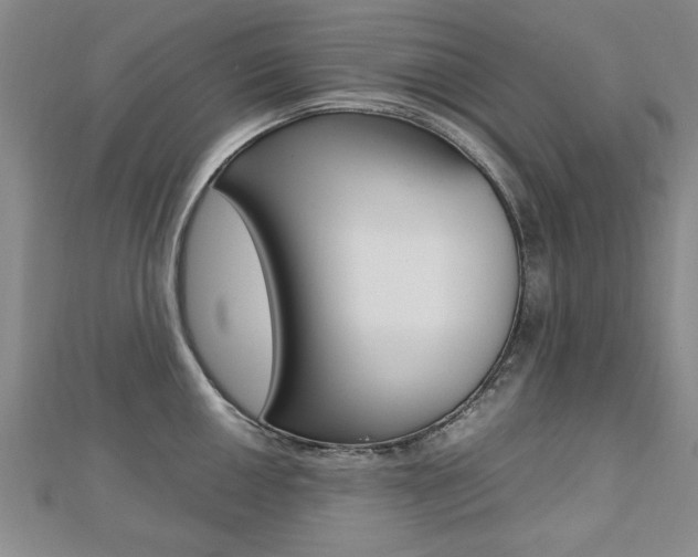 X0000112471050200908170946
