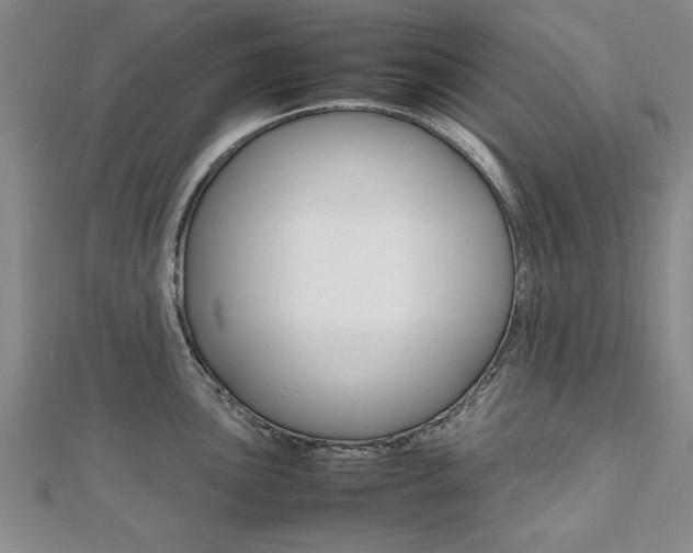 X0000112471051200908170946