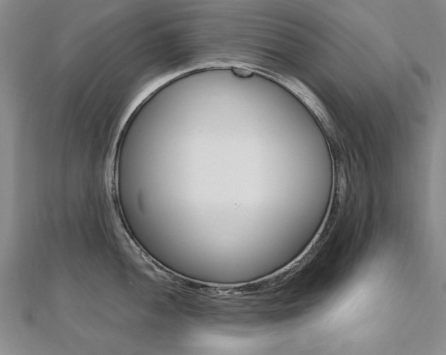 X0000112471052200908170946