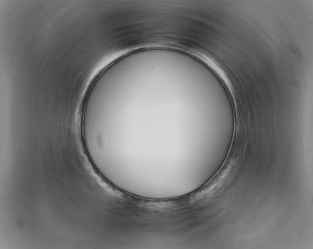 X0000112471053200908170946