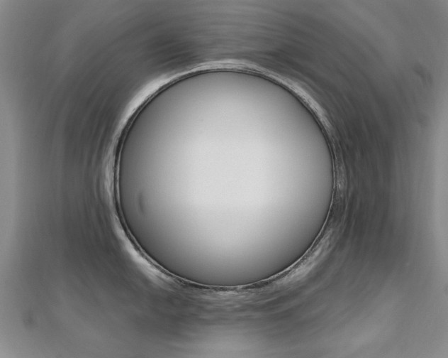X0000112471054200908170946