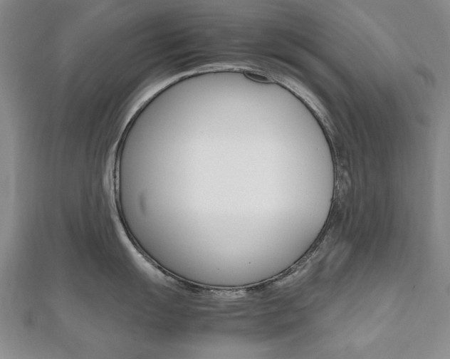X0000112471055200908170946