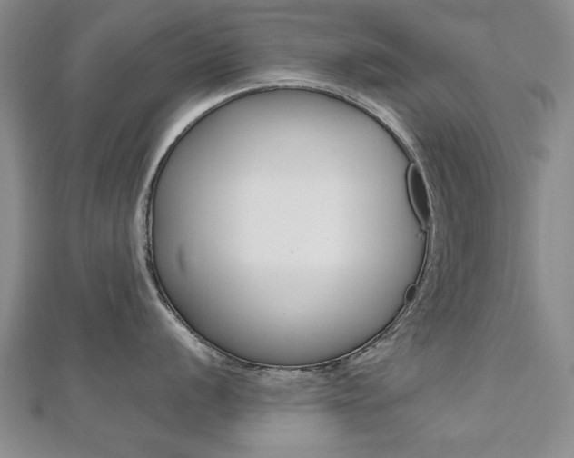 X0000112471056200908170946