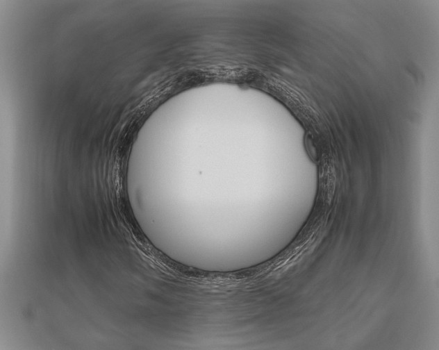 X0000112471058200908170946