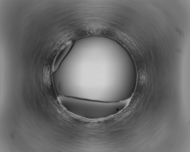 X0000112471060200908170946