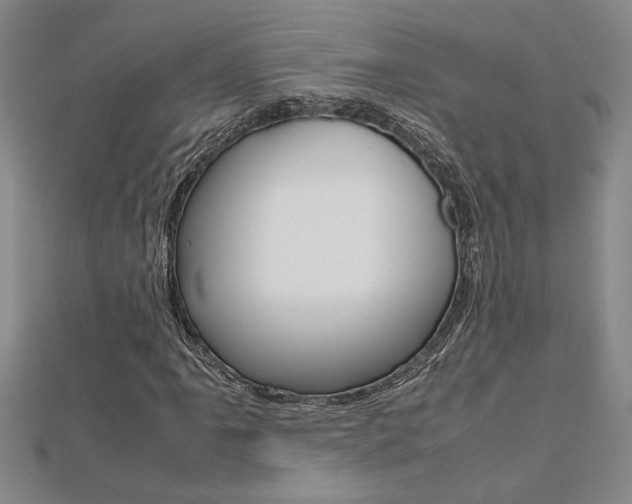 X0000112471061200908170946