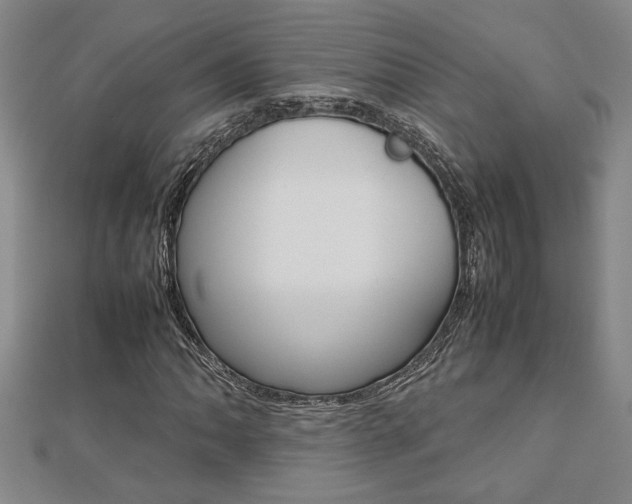 X0000112471062200908170946