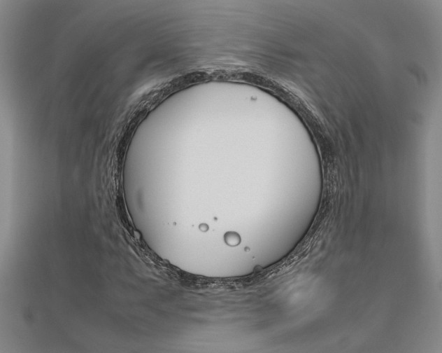 X0000112471063200908170946