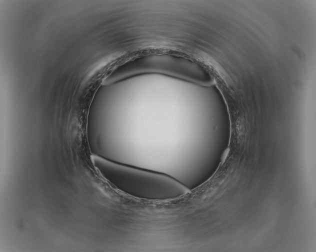 X0000112471064200908170946