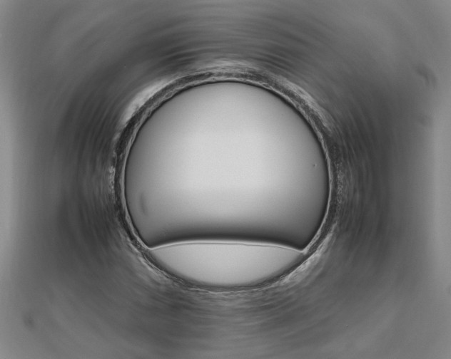 X0000112471066200908170946