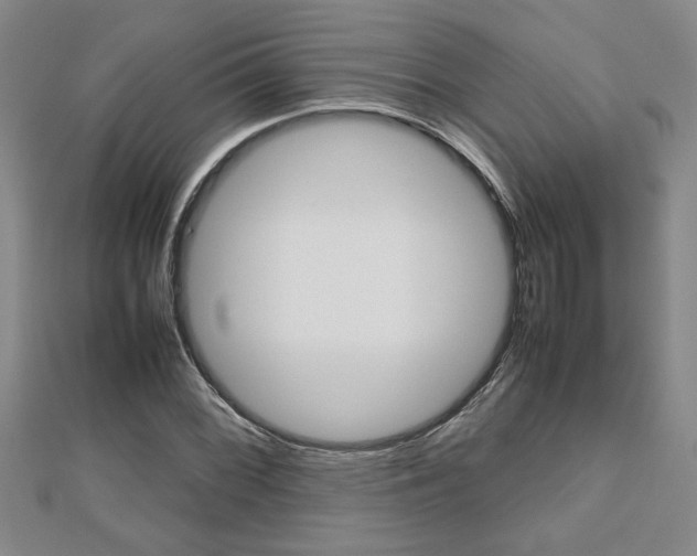 X0000112471068200908170946