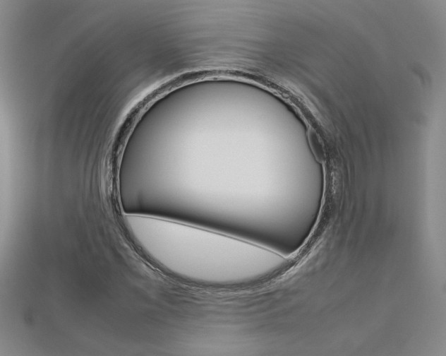 X0000112471069200908170946