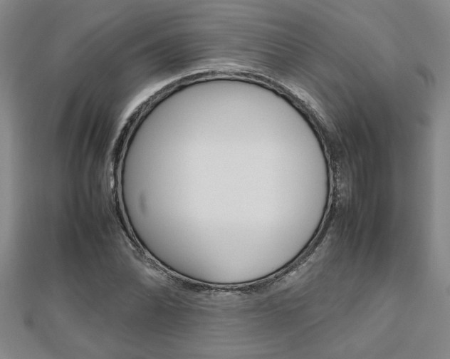 X0000112471070200908170946