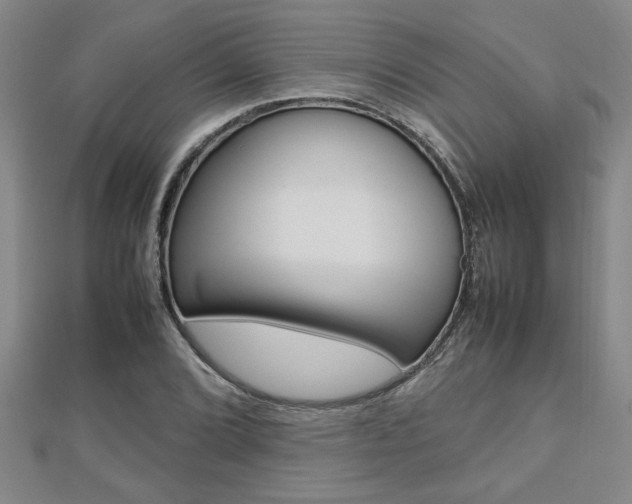 X0000112471072200908170946