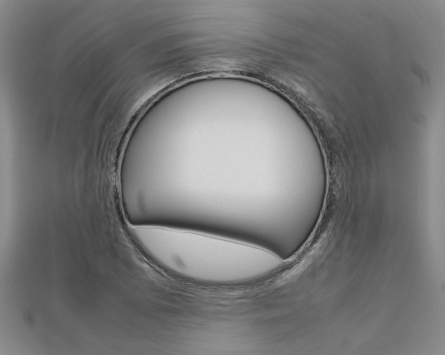 X0000112471073200908170946