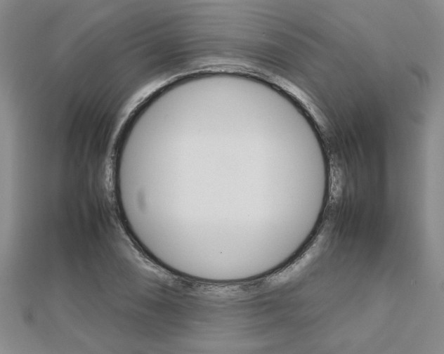 X0000112471074200908170946