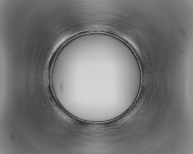 X0000112471075200908170946