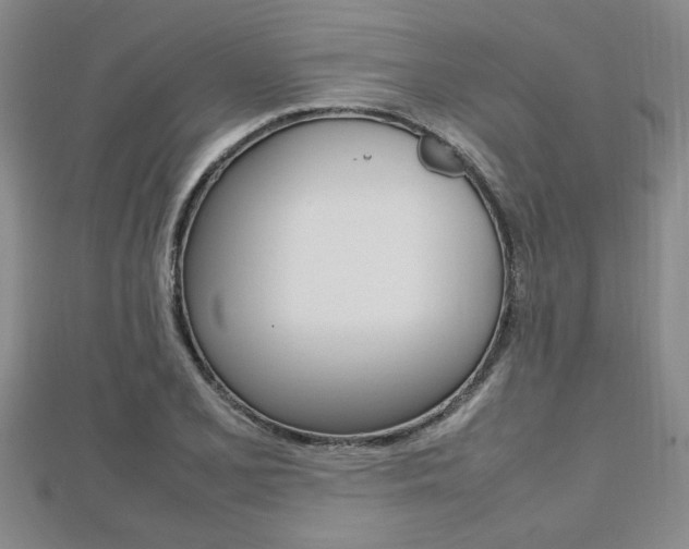 X0000112471077200908170945