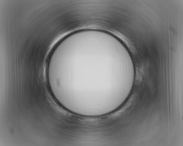 X0000112471078200908170945