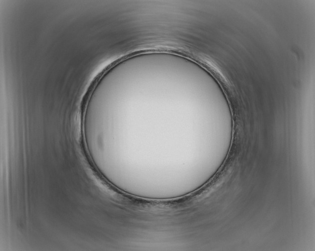 X0000112471079200908170945