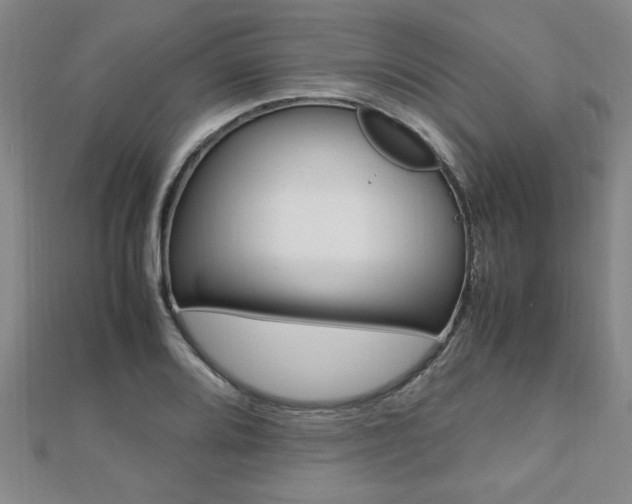 X0000112471080200908170945