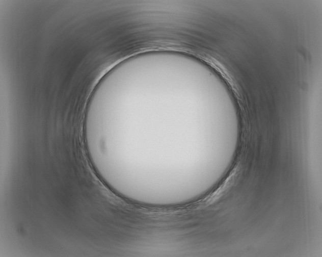 X0000112471081200908170945