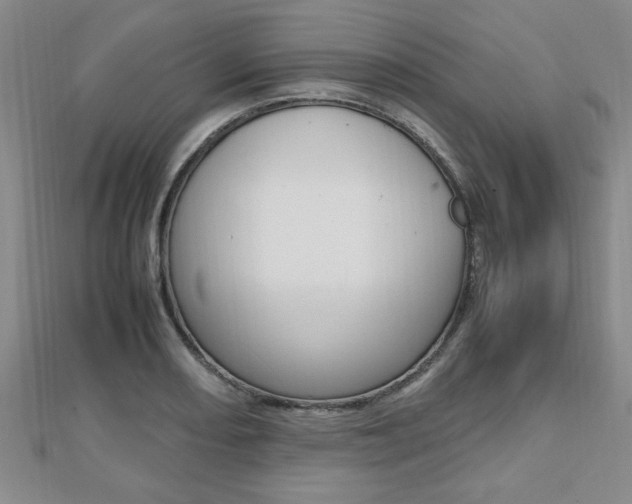 X0000112471082200908170945