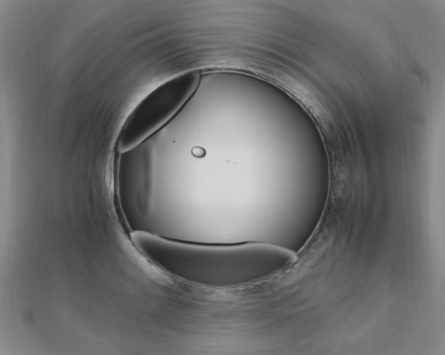 X0000112471084200908170945