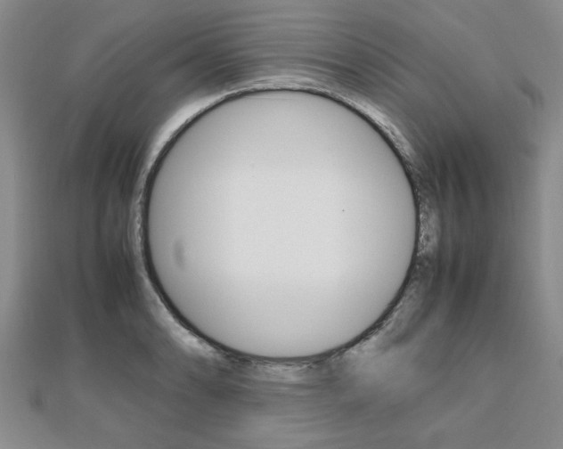 X0000112471086200908170945