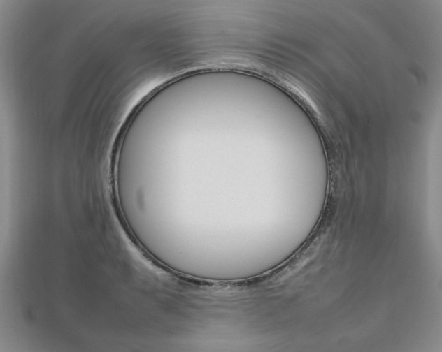 X0000112471087200908170945