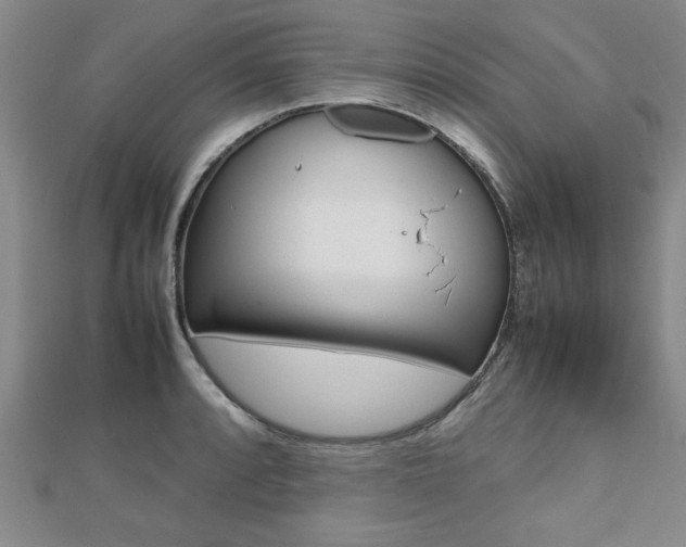 X0000112471088200908170945