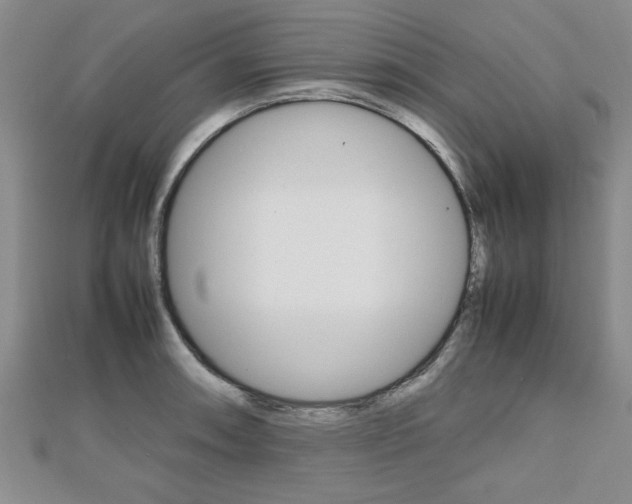 X0000112471090200908170945