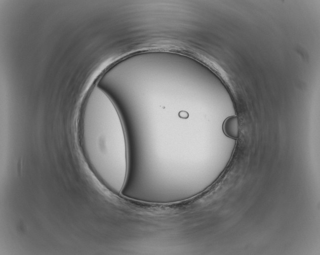 X0000112471091200908170945
