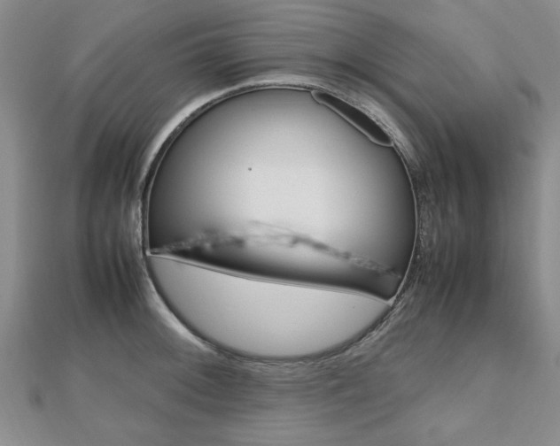 X0000112471092200908170945