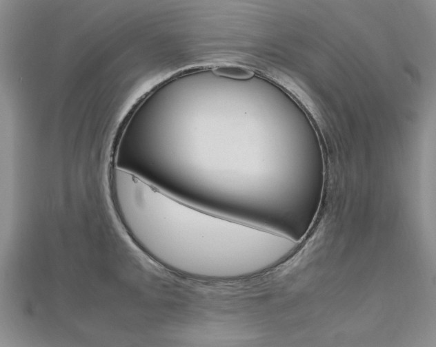 X0000112471093200908170945