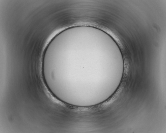 X0000112471094200908170945